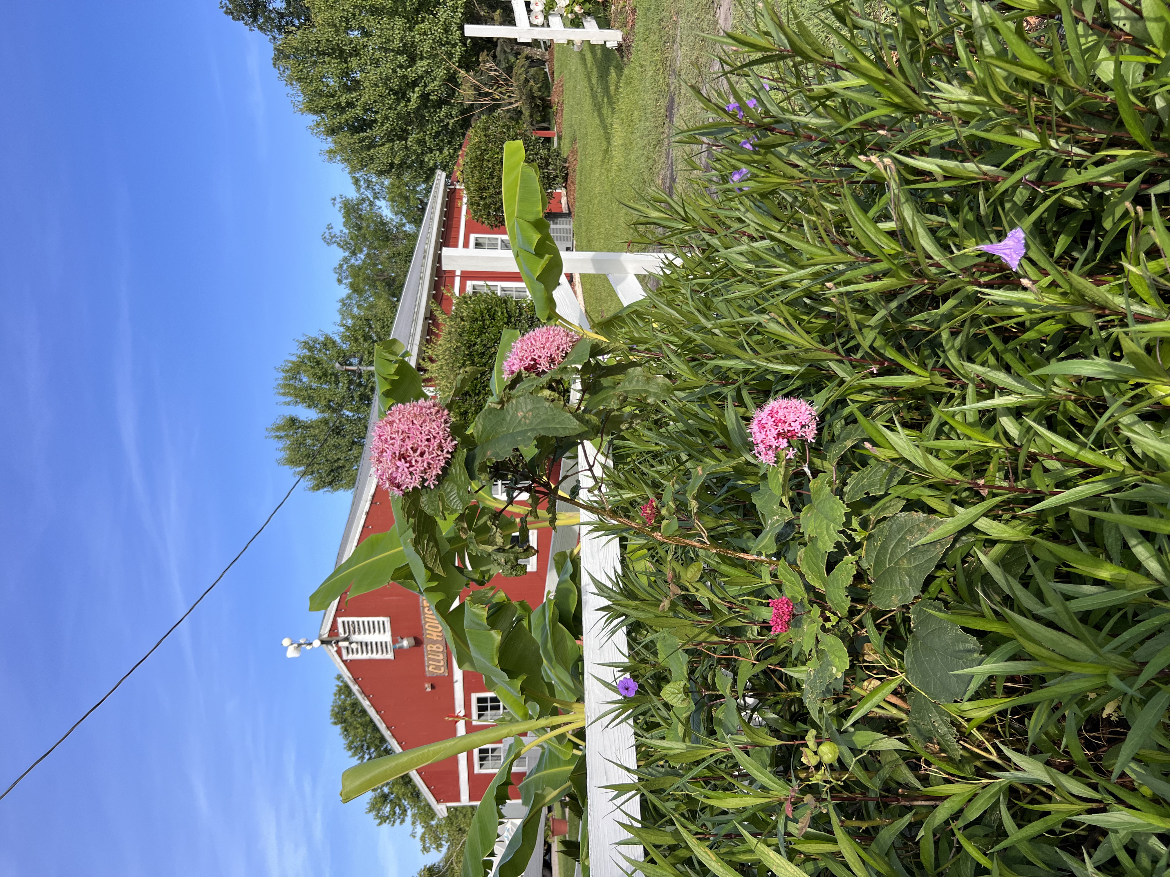 ./2025/06 - Savannah/IMG_1030.jpg